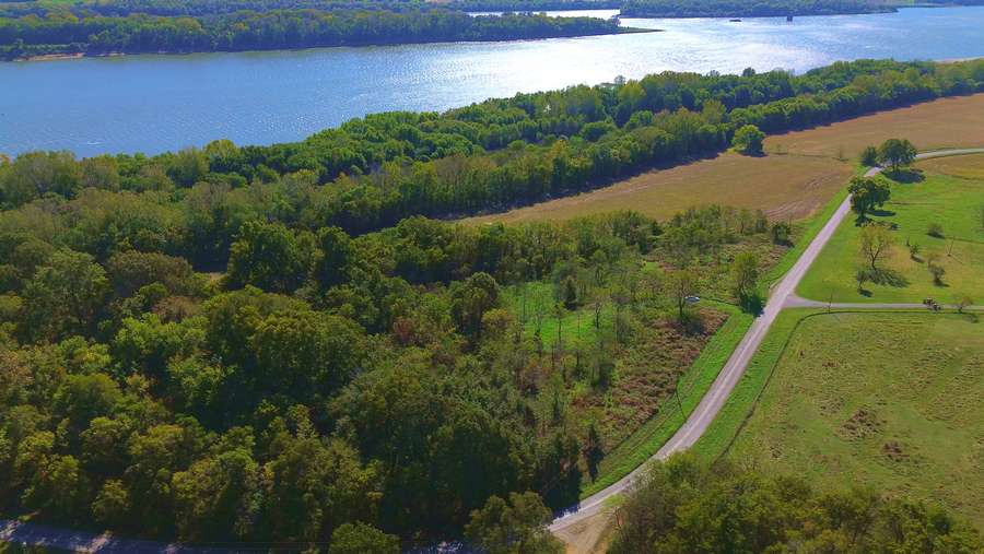 Still 2025-11-17 100017_1.53.11.jpeg